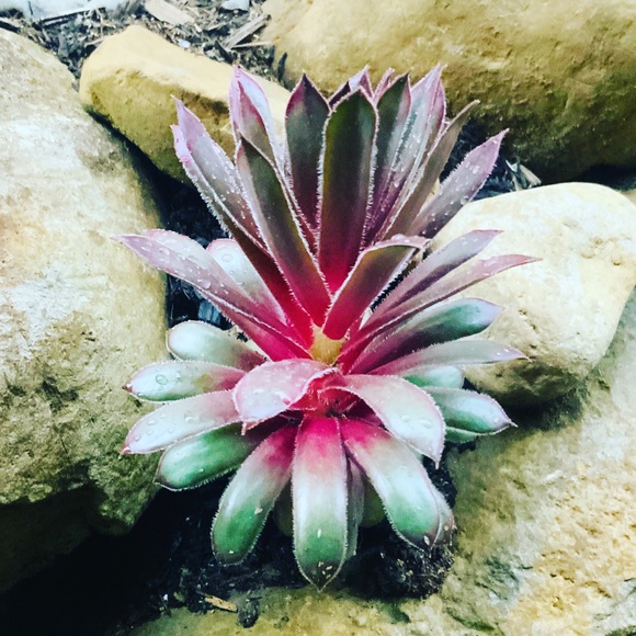 Meet the Posher Kasia - Picture 8 of 16